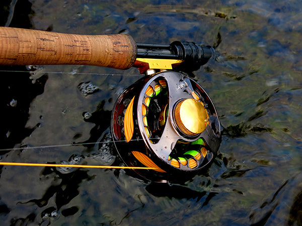 Fishing Gear: 10 Essentials for Beginners